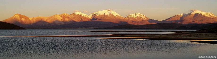 Lago Chungara