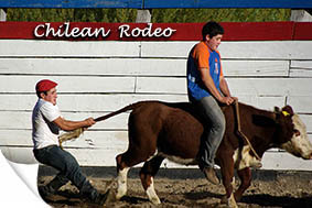 Chilean rodeo
